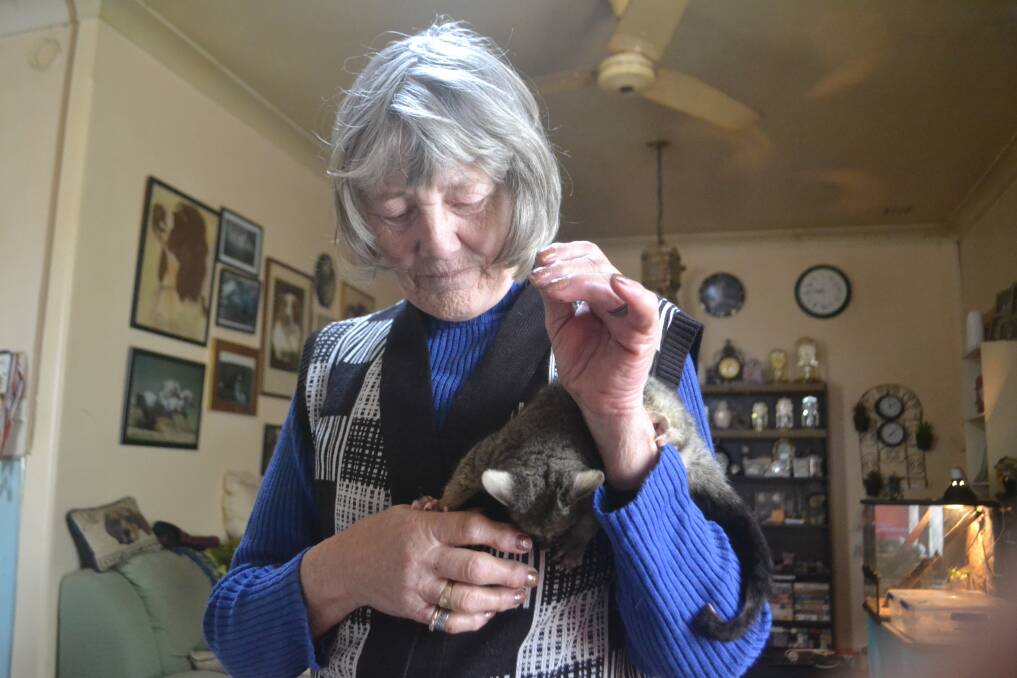 Voicing her concerns: Wildlife Care Bunbury owner Doreen Jones was shocked by a recent case of animal cruelty on Forrest Highway. Photo: Thomas Munday. 