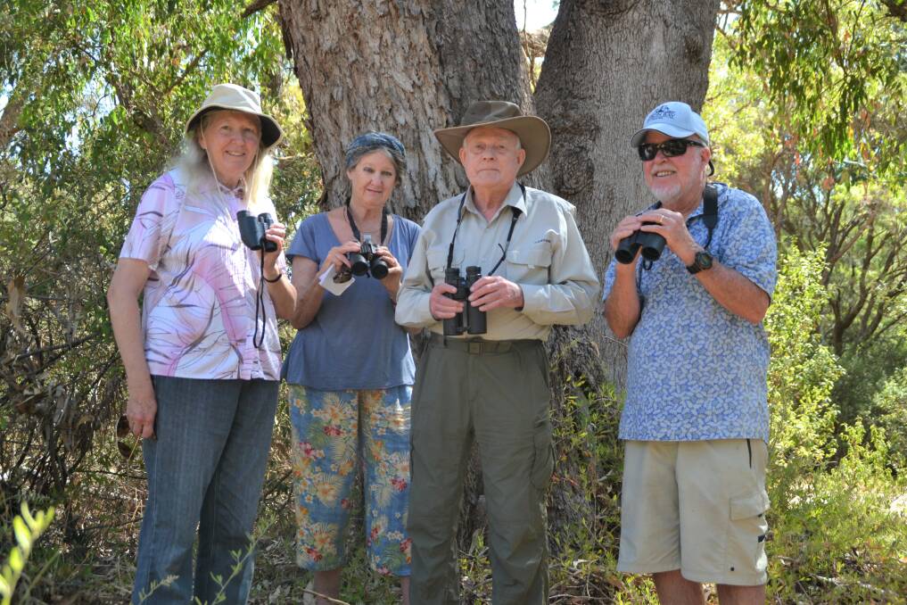 Out and about: BirdLife Bunbury convenor Sue Kalab with members Diane Cavanagh, Bruce Buchanan, and Richard Routh. Photo: Thomas Munday. 