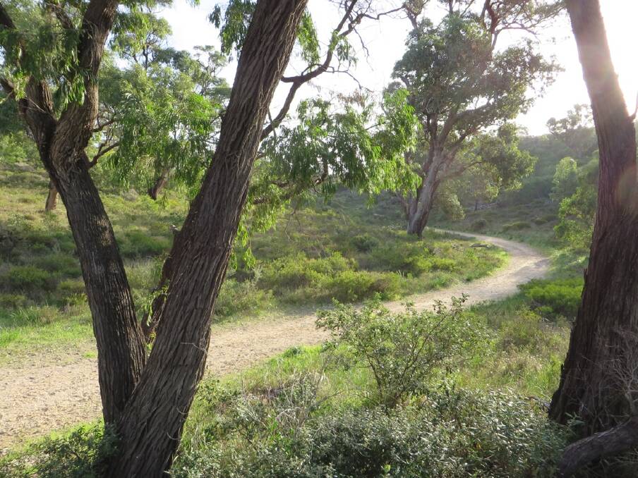Exploring nature: The Maidens are significant to South Bunbury's coastline. Photo: Supplied. 