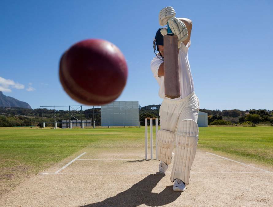 Players star in cricket carnivals