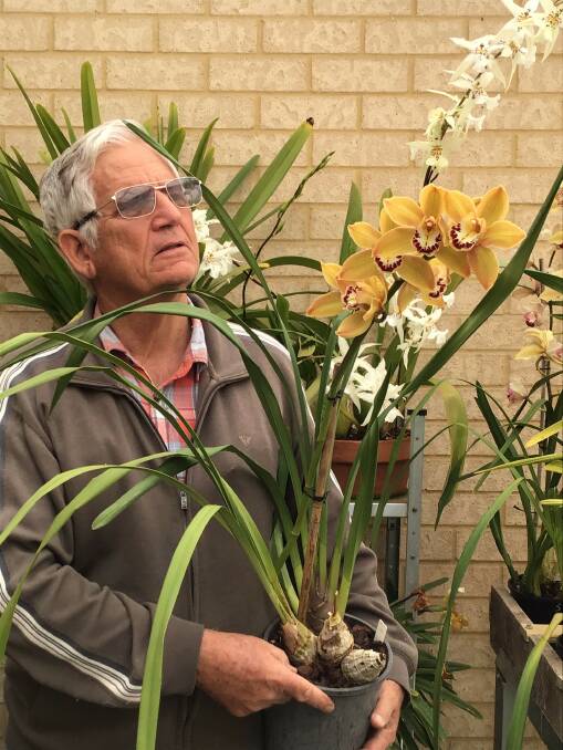 Simon Snook and his orchids. Image supplied.