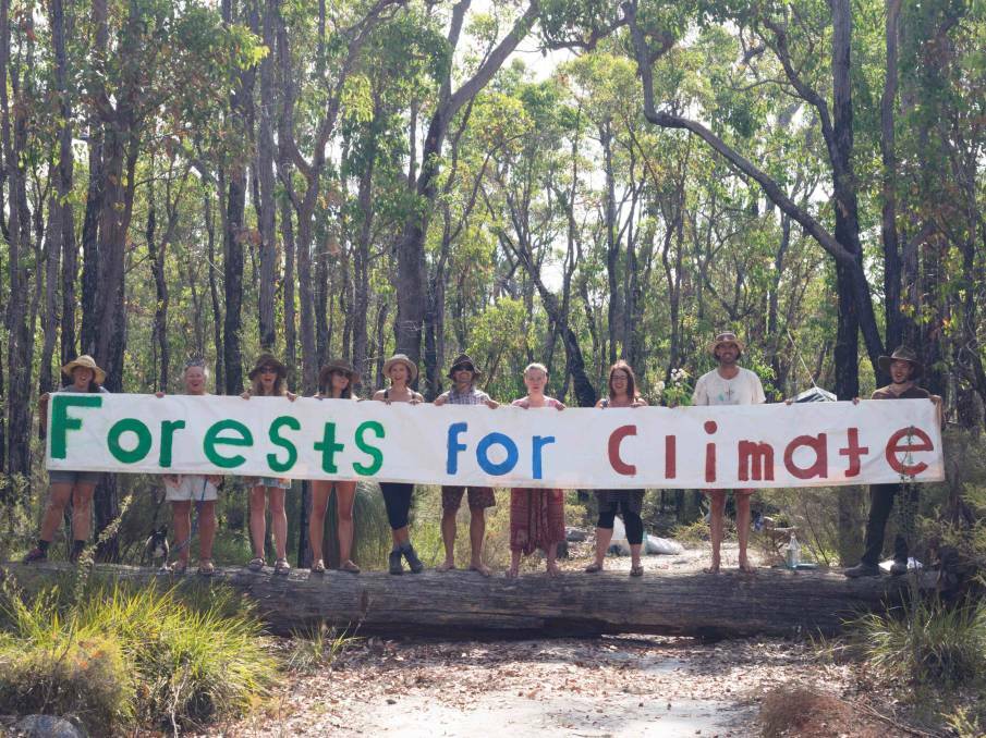 In 2020, the Western Australian Forest Alliance were calling for logging to stop in Helms Forest near Nannup, which is home to red-tailed, Carnabys and Baudins cockatoos.Image supplied.