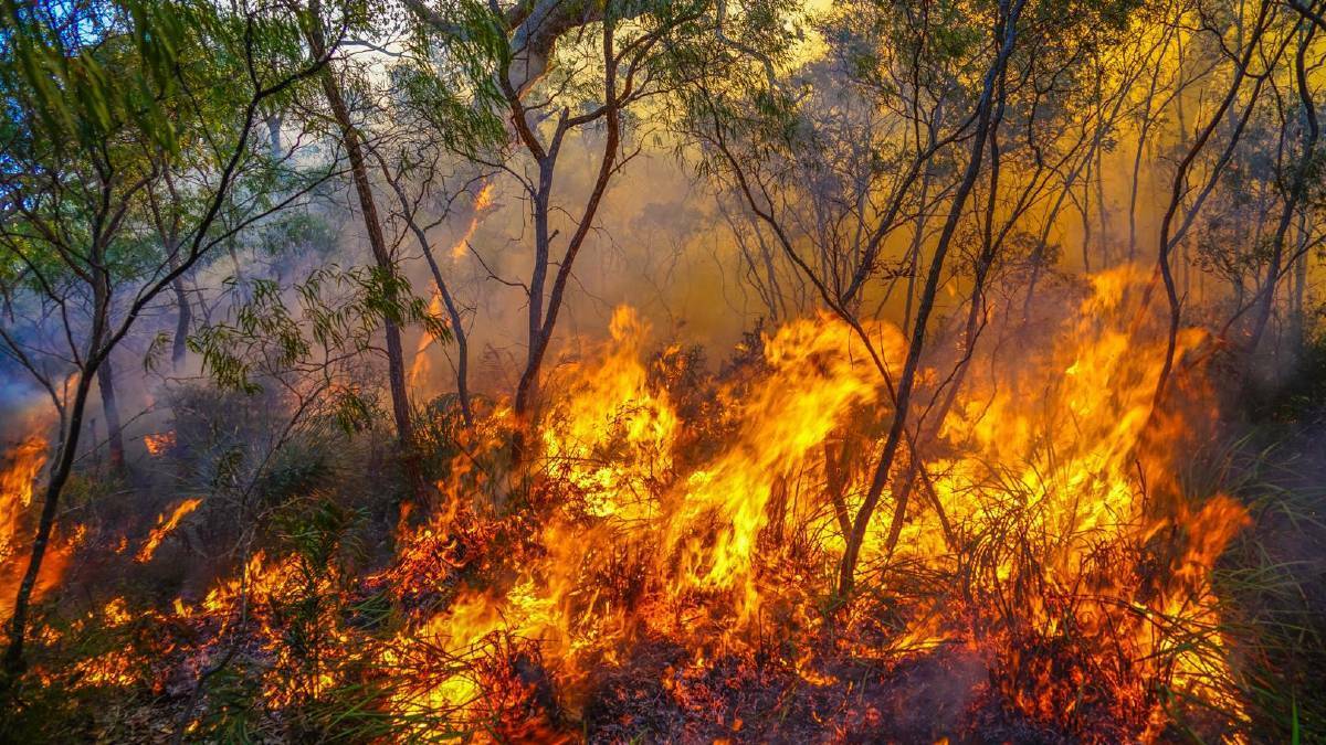 Severe fire danger advice for the South-West region