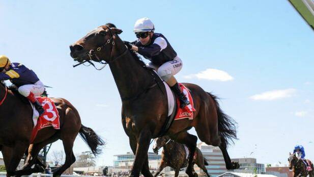 71-1: Assign, ridden by Katelyn Mallyon, could be the shock winner in the Melbourne Cup. Photo: Ross Holburt