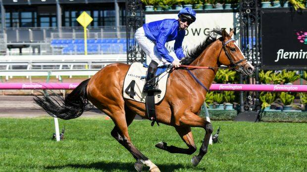 Favourite: Hartnell will be the one to beat in the Melbourne Cup. Photo: Reg Ryan