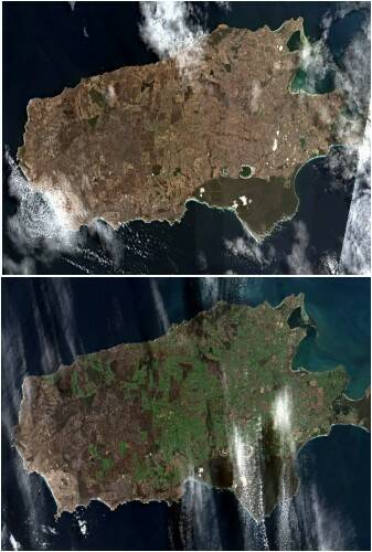 This is how western Kangaroo Island looked on Google Earth in January 2020 and then June 2020. The burn scar is still clear, meaning the land has a long way to recover. 
