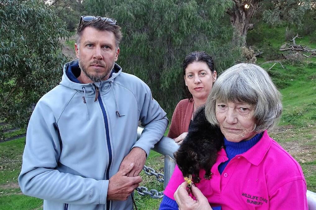 South West Environment Centre's Phil Harbour, Save Dalyellup Tuart Bushland's Kerry Bemrose  and wildlife carer Doreen Jones with a rescued Western Ringtail possum on site at Greenpatch. 