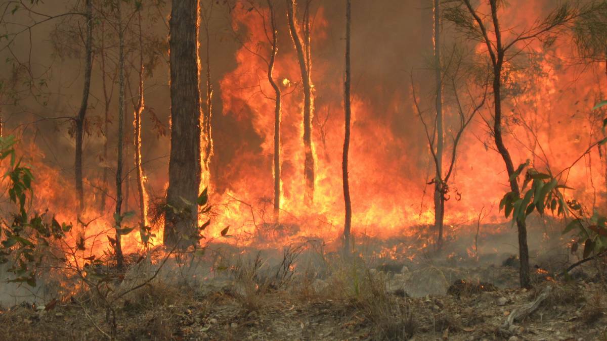Fund to combat bushfires