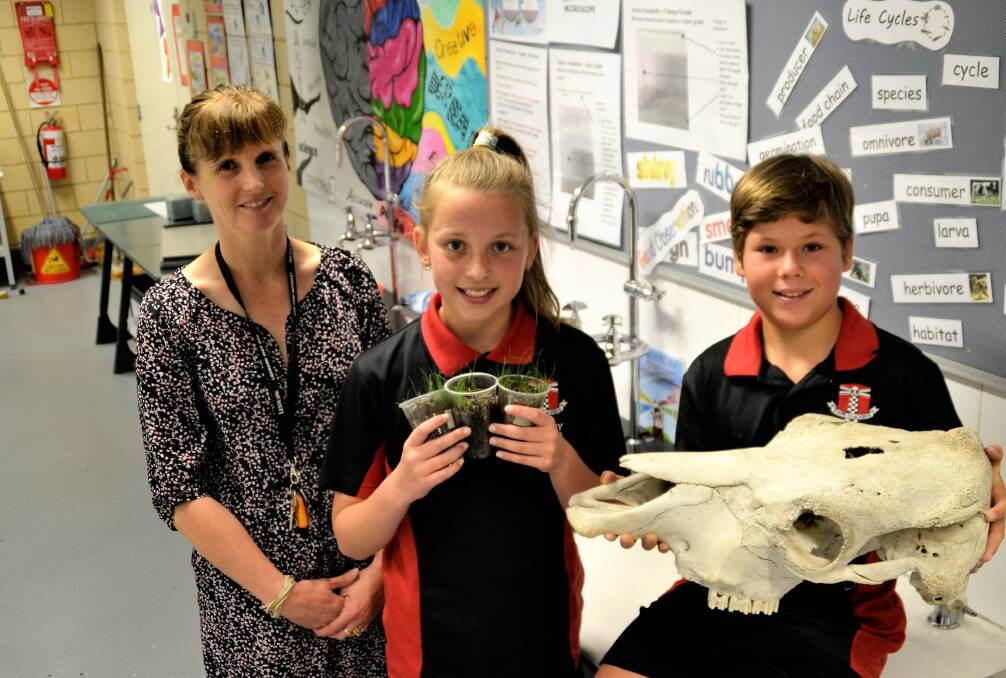 Scientific focus: Bunbury Primary School's science specialist teacher Katrina Taaffe and students Olivia Myles, 11, and Jim Nott, 11. Photo: Emily Sharp. 