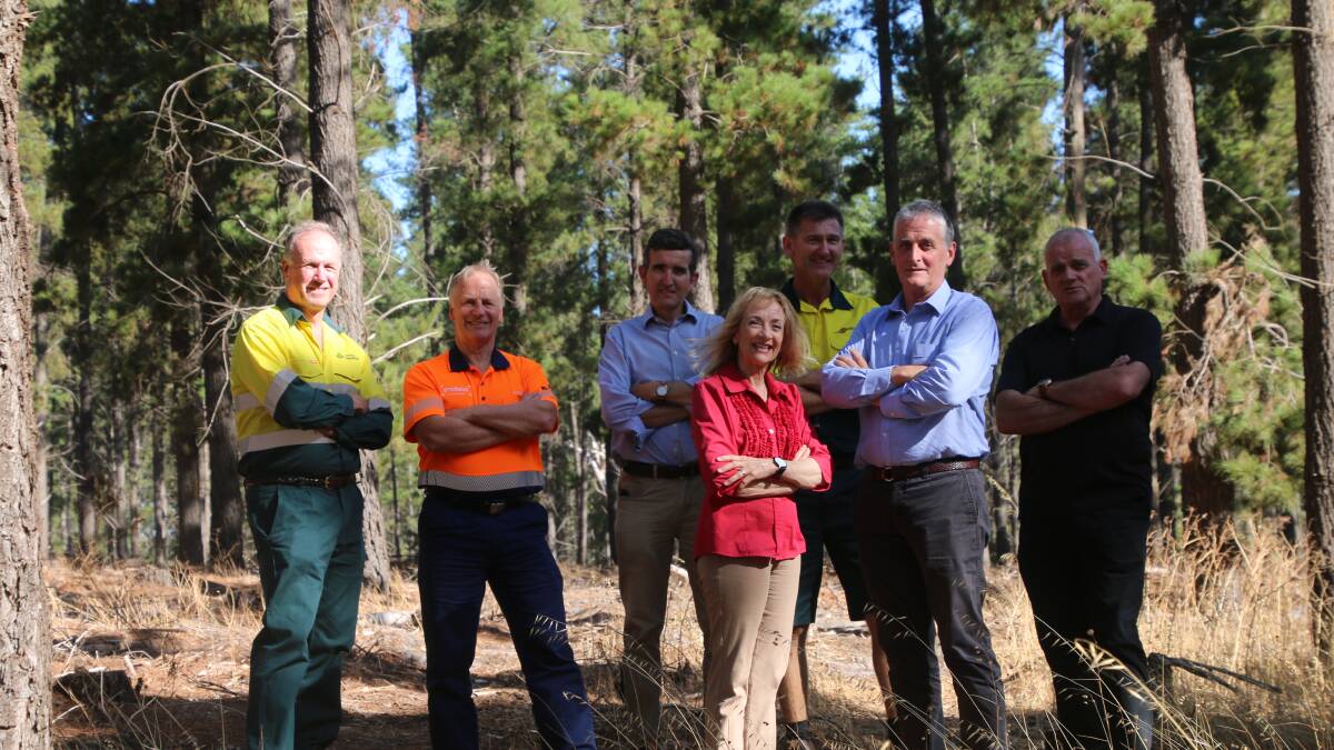South West to pilot forestry hub