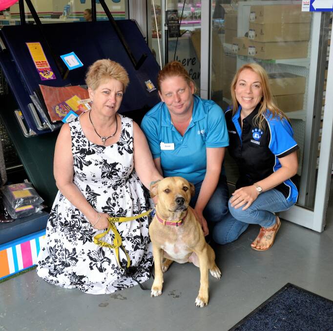 Love knows no breed: Foster career Robyn Dall, PetStock Bunbury manager Kassie White, Bunbury SAFE fundraising coordinator Lisa Townsend with 18-month old Sheeba. Photo: Emily Sharp. 