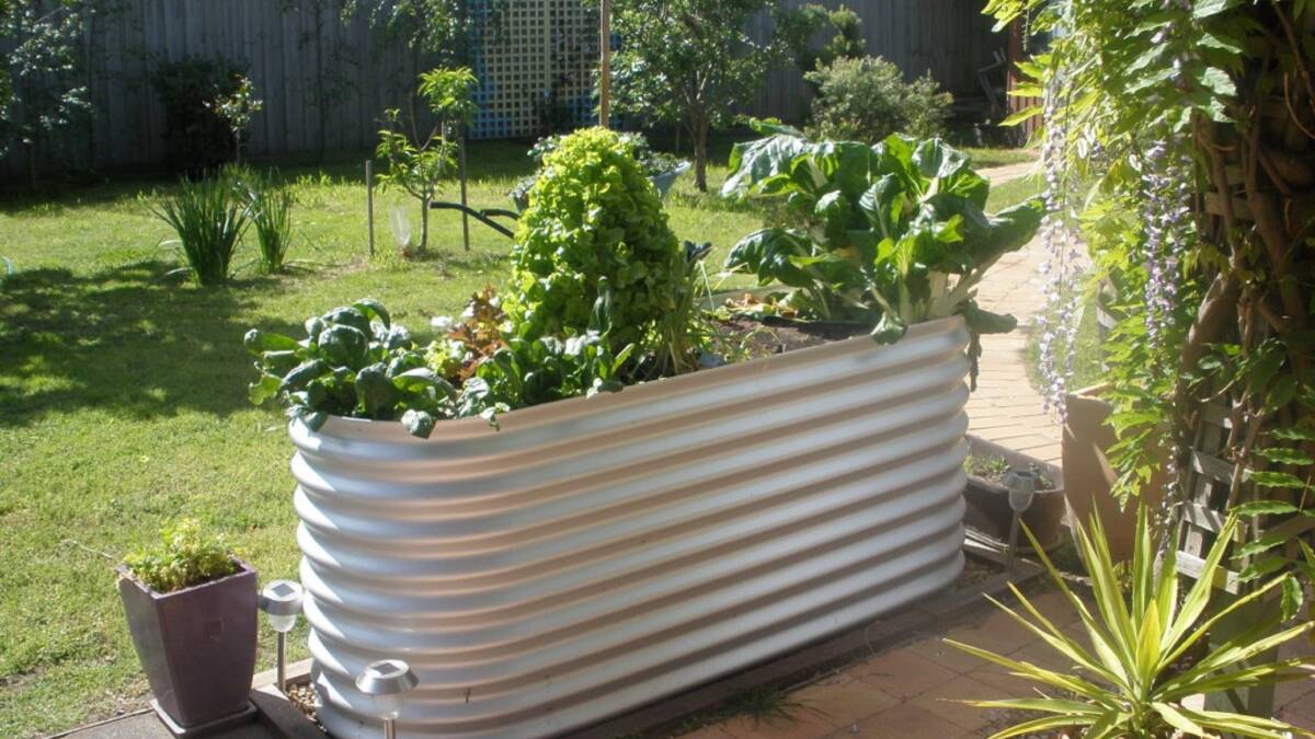 A celebrity horticulturist will be hosting a free gardening workshop in Australind to share his secrets to having a great garden with less fertiliser, less money and less effort. 