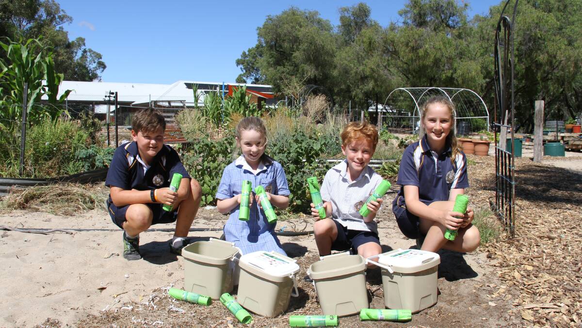 Reducing waste: Luke Partridge,11, Lily Offer, 7, Christian Passmore, 7, and Janessa Scaglione, 11, with their new caddies. 