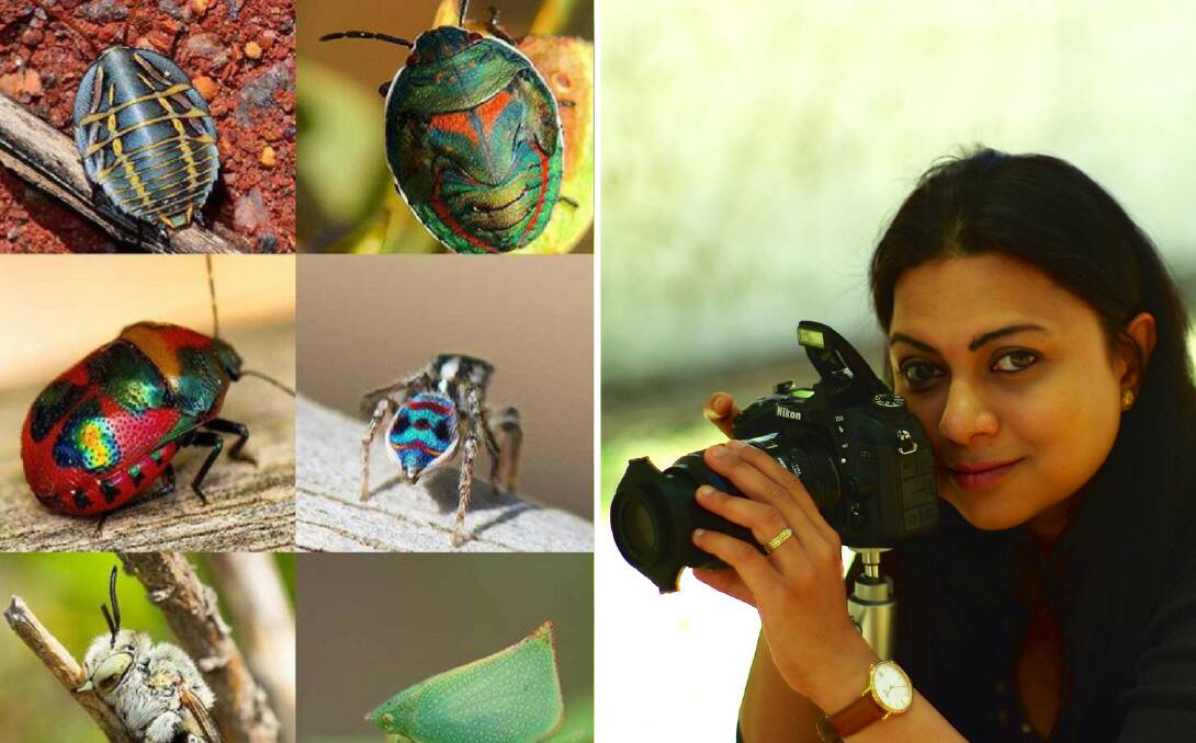 The Insect Diary: Sunayana RamMohan (right) alongside a few of the insects she has captured. Photos supplied. 