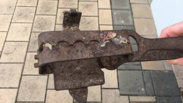 Illegal: RSPCA says this steel jaw trap is illegal to use in WA. Picture: RSPCA.