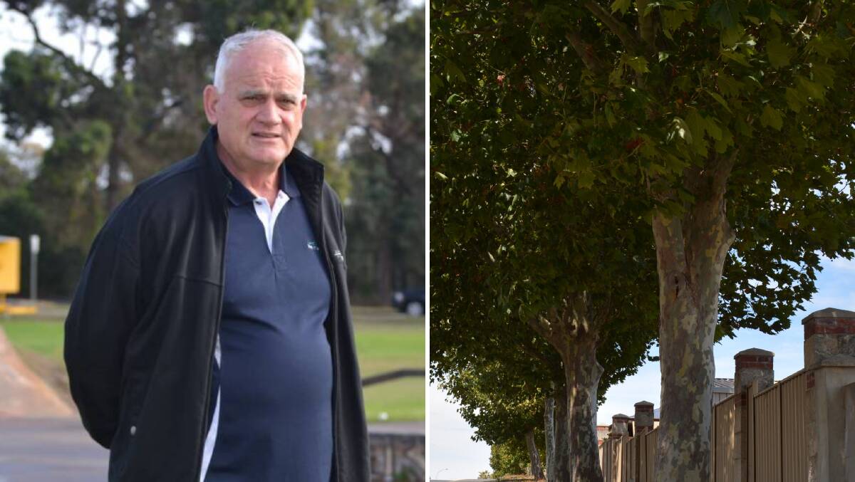 Shire of Dardanup president Mick Bennett said removing the London Plane Trees was 