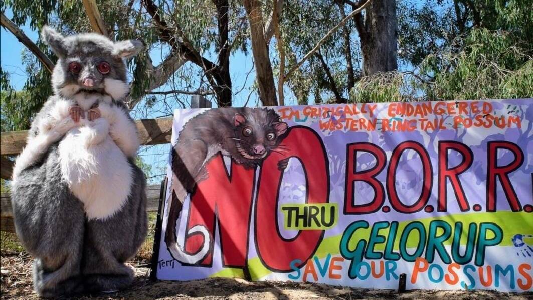 The Friends of the Gelorup Corridor have been protesting against the southern route of the Bunbury Outer Ring Road because of the potential threat to native wildlife.