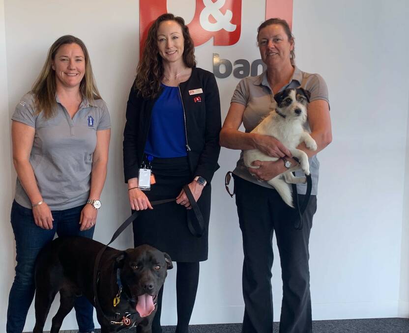 Bunbury Animal Rescue Rehome Care's Sally Dixon and Rachael Cronin with P&N Bank's Donna Gibbs. Photo is supplied.