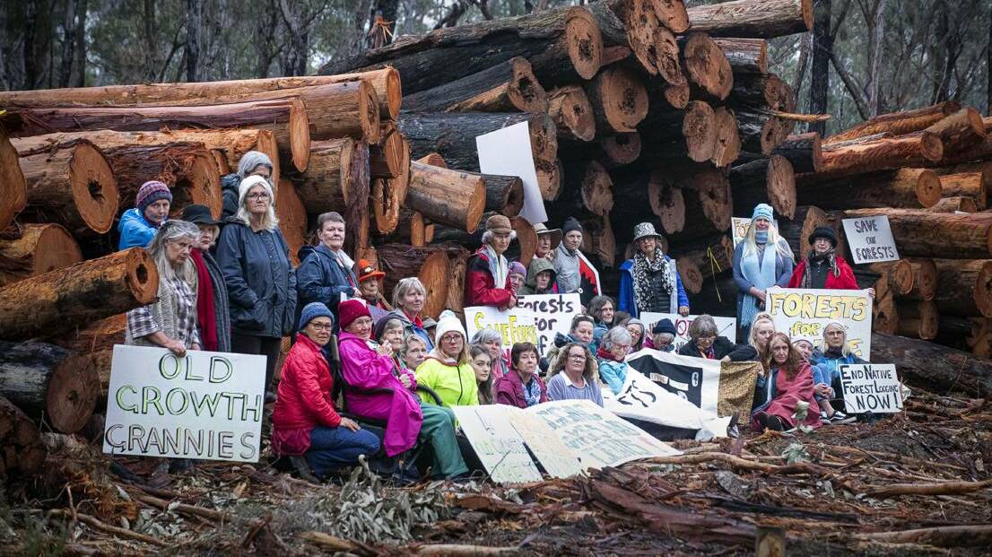 Nannas for Native Forests, a group of women from the Margaret River and Busselton area, at a blockade in Nannup last year. Photo by Mike Wylie.