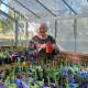 Nursery: Ludlow Tuart Forest Restoration Group committee member Evelyn Taylor with a Tuart seedling in the newly restored nursery. Picture: Jemillah Dawson.