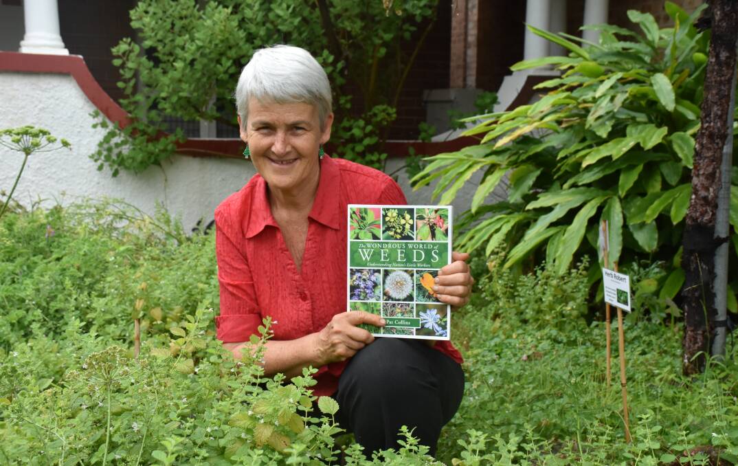 NEW BOOK: Pat Collins with The Wondrous World of Weeds.