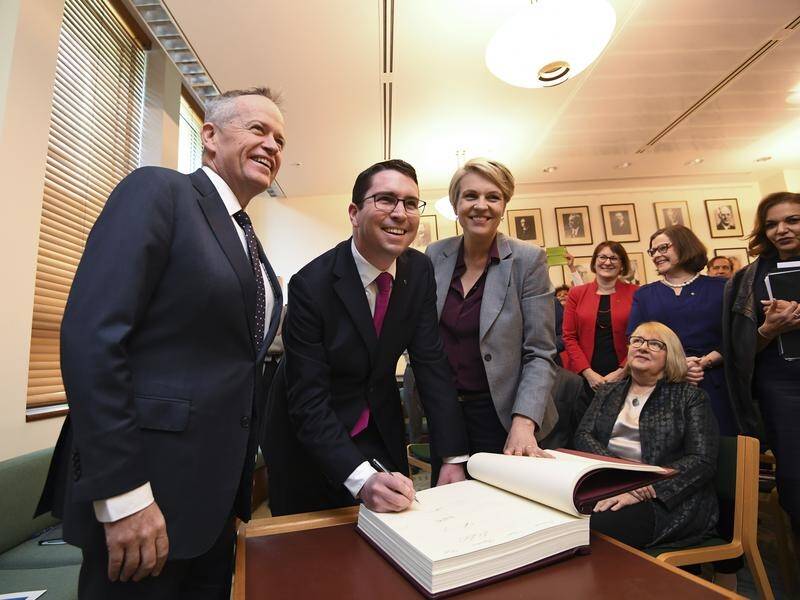 Bill Shorten has welcomed back three MPs and introduced a new one to caucus after by-elections.