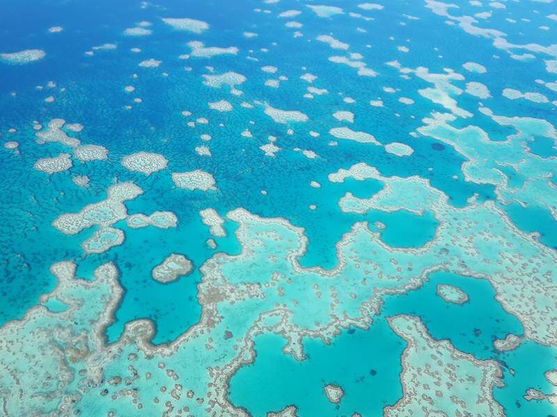 The World Heritage Committee voted to delay any decision on the Great Barrier Reef until 2023.