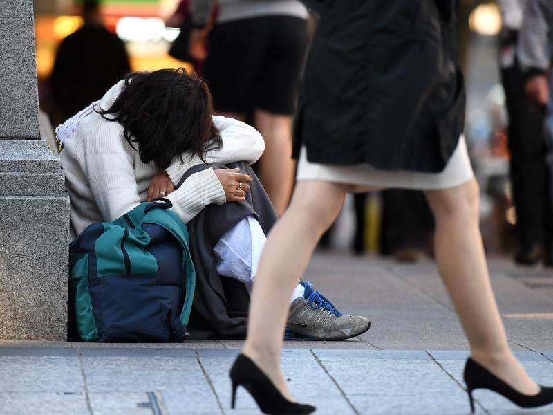 Steven Miles says a former Qld bureaucrat will now lead a homelessness review without payment. (Dan Peled/AAP PHOTOS)