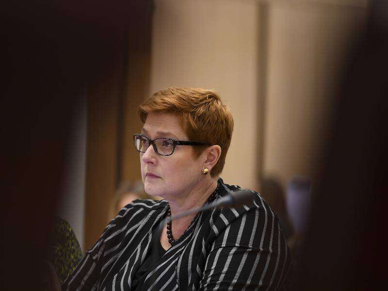 Foreign Minister Marise Payne says the MH17 charges are just the start of a long process.