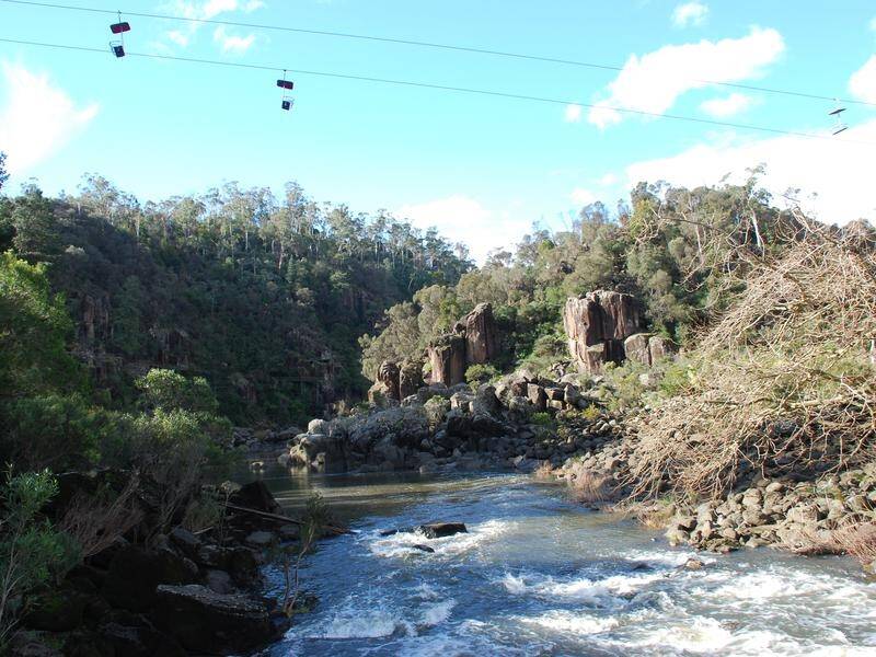 A search is underway for a woman who went missing while swimming at Cataract Gorge in Tasmania.