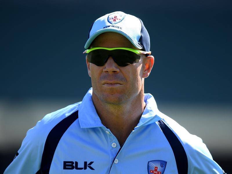 David Warner is back in blue to play a one-day match for NSW against South Australia.