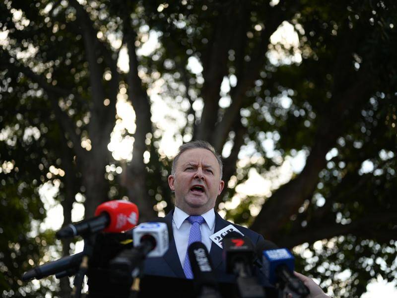 Anthony Albanese is all but confirmed as Labor's next leader, with focus now on who will be deputy.