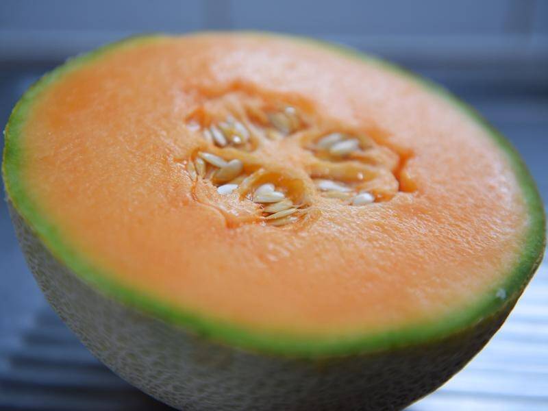 The NSW rockmelon grower linked to the fatal listeria outbreak in Australia has been named.