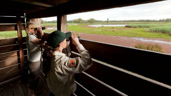 The Reed Beds Bird Hide looks out onto a wetland that plays host to copious bird life. Photo: D Finnegan