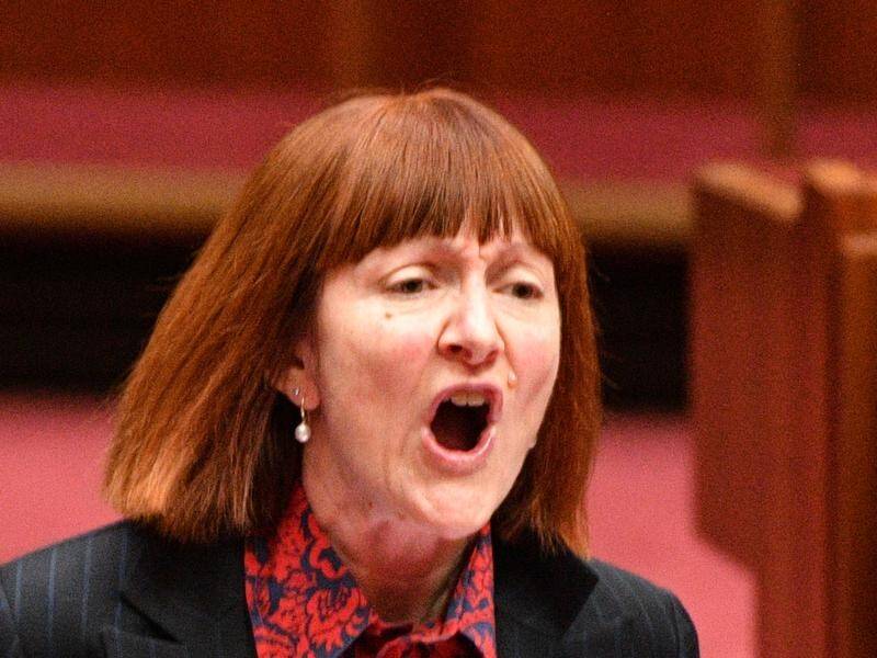 Greens senator Rachel Siewert has attacked the government's cashless welfare card as ineffective.