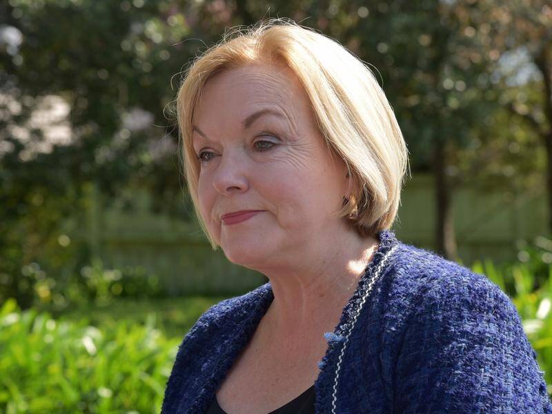 A new broom is needed for New Zealand's opposition, former leader Judith Collins says.