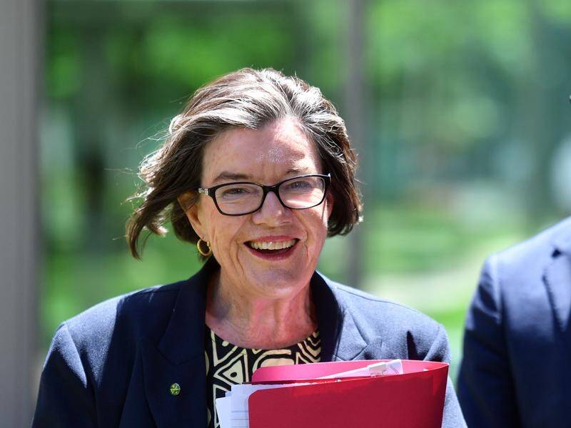 Federal independent MP Cathy McGowan says she will not recontest her Victorian seat of Indi.