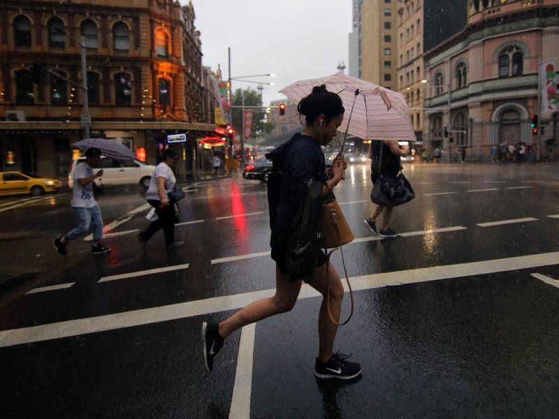 Potentially damaging wind conditions are set to hamper much of NSW and the ACT.