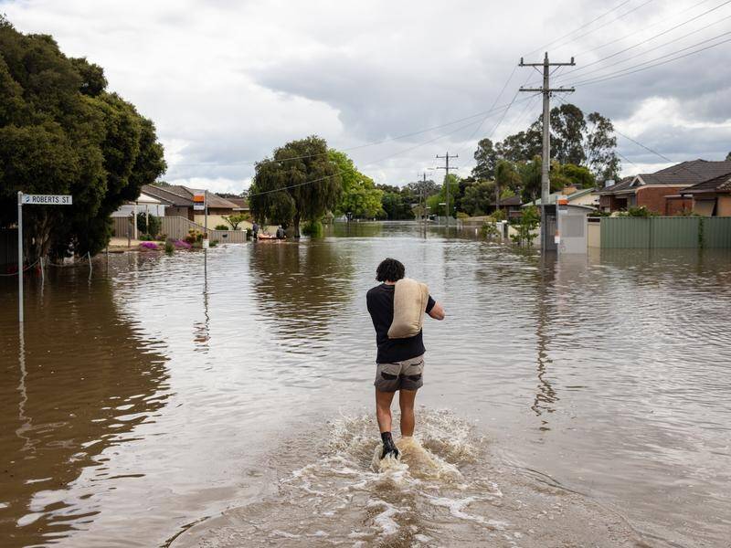 The full impact of the 2022 floods on the Victorian environment is yet to be determined. (Diego Fedele/AAP PHOTOS)