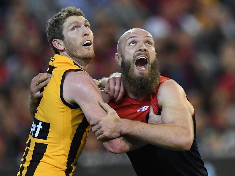 Melbourne's Max Gawn contesting a bounce during the first semi final against Hawthorn at the MCG.