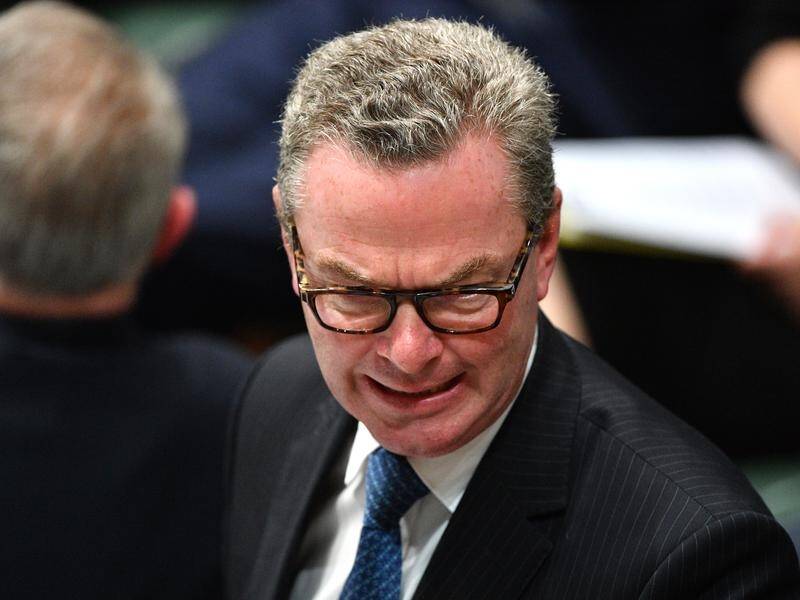 Coalition frontbencher Christopher Pyne says Anthony Albanese's fired the gun on Labor leadership.