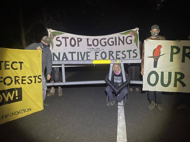 Protesters have blockaded the Sydney headquarters of the NSW Forestry Corporation. (HANDOUT/LUCA LAMONT)