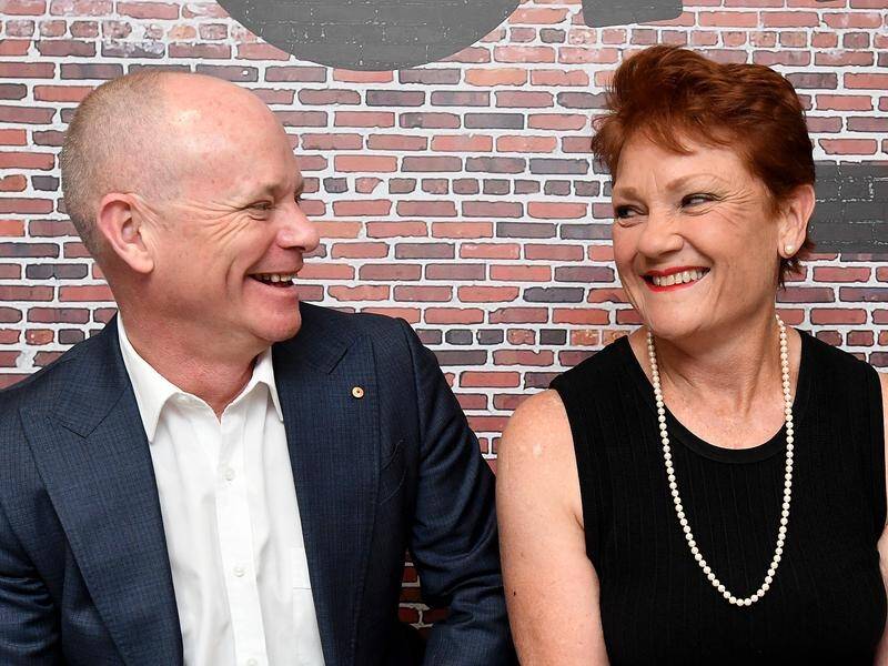 Former premier Campbell Newman and Pauline Hanson are vying for Senate seats in Queensland.