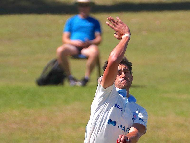 Mitchell Starc (pic) has dismissed Matthew Wade to put NSW back in the Shield match with Tasmania.