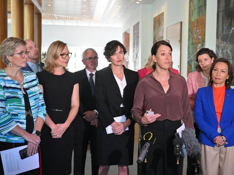 Crossbenchers say their coalition is trying to bring about change and integrity to electoral reform. (Mick Tsikas/AAP PHOTOS)