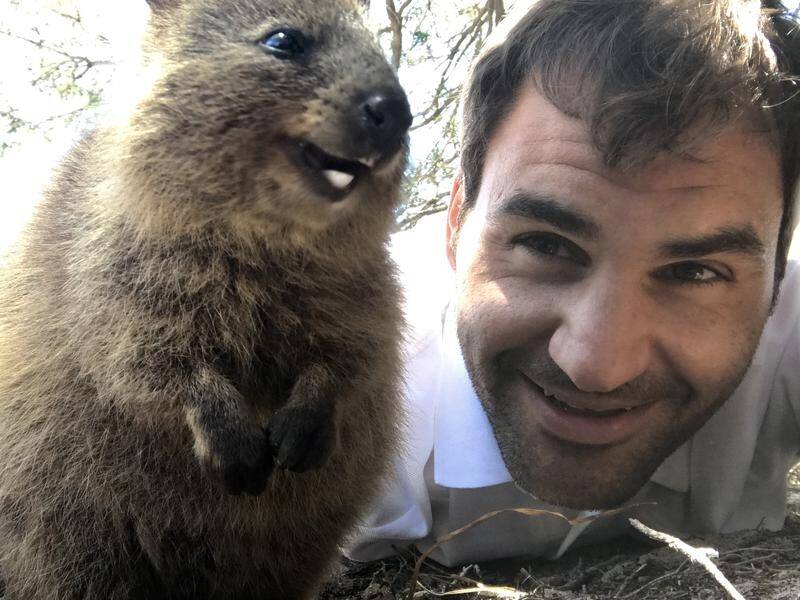 Rottnest recently made headlines thanks to 'quokka selfies' taken by the like of Roger Federer.