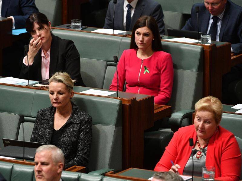 Many Liberal female MPs wore red in solidarity during Question Time on Monday.