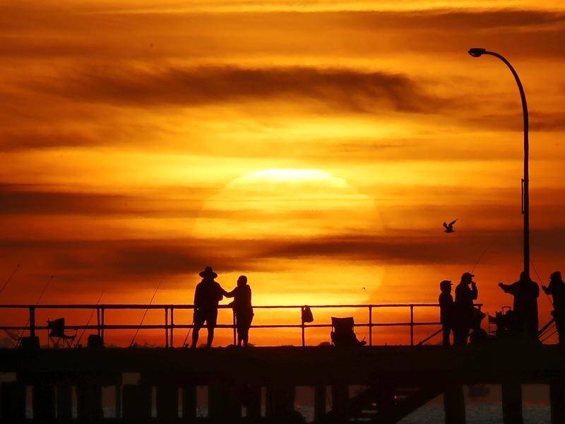 Melbourne is expected to experience one of its hottest November days on record this week.