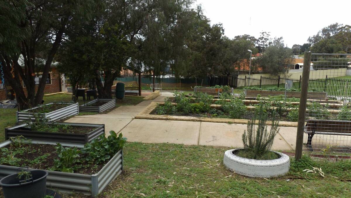 GREEN THUMB: The Bunbury Community Garden is a great place to grow some veggies, meet new people and try new things over Summer. Photo: Supplied