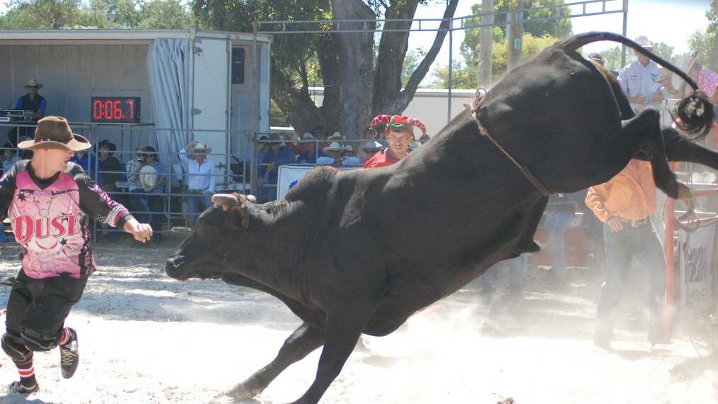 The Esperance Rodeo entertained a large crowd at the Greater Sports Ground last weekend. Photo: Liz Langdale/Esperance Express.